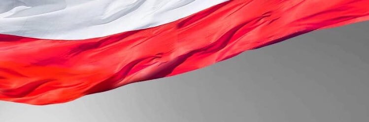 Artur Kosicki's banner