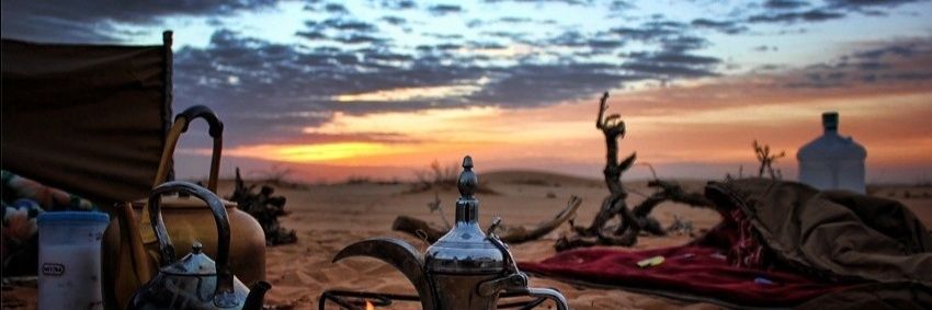 منيصر الحربي⚖️'s banner