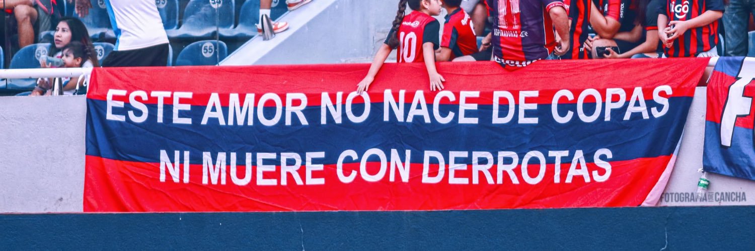 Ferdu's banner