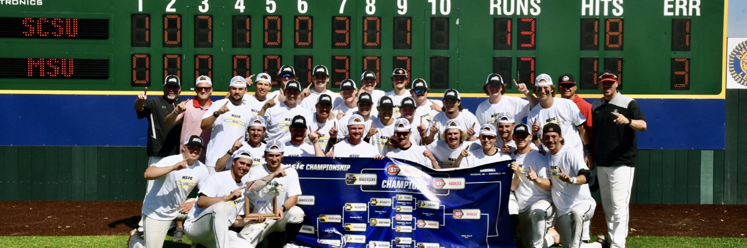 St. Cloud State Baseball's banner