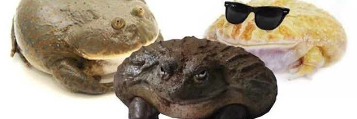 chugging pilk at 2am and getting a tummy ache's banner