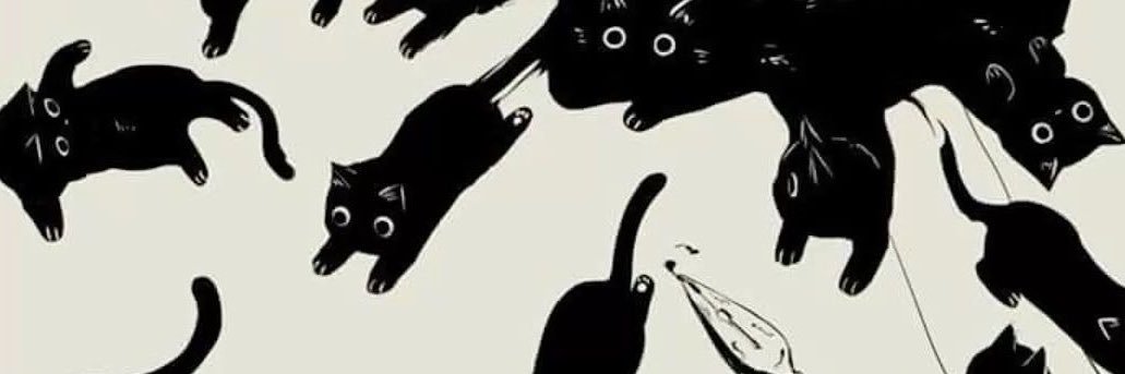 lilli ⁺¹'s banner