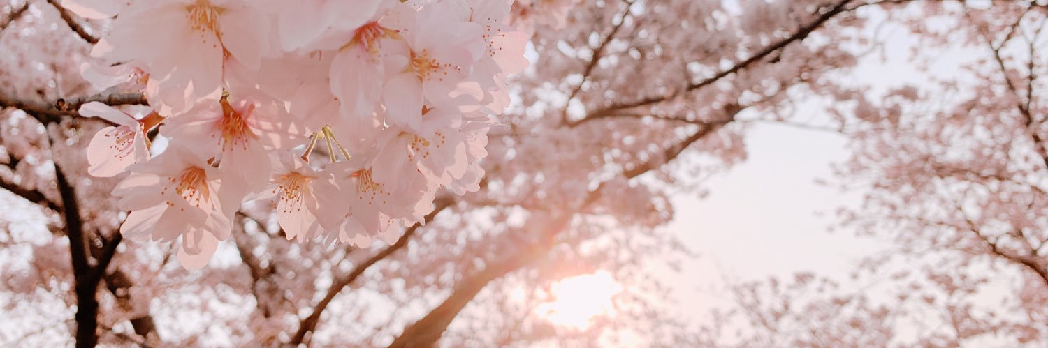 花春（かしゅん）🌸's banner