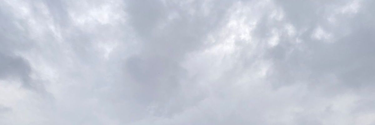 affy's banner