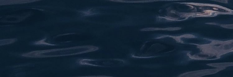 🦄️'s banner