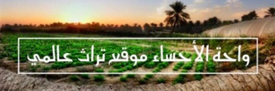 ‏قناة أهل الأحــســاء's banner