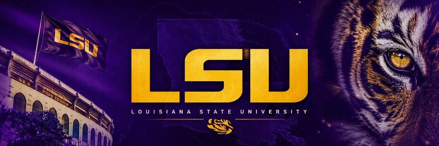 Tiger Vibes's banner