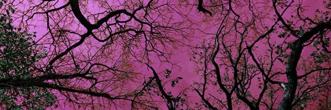 压路机's banner
