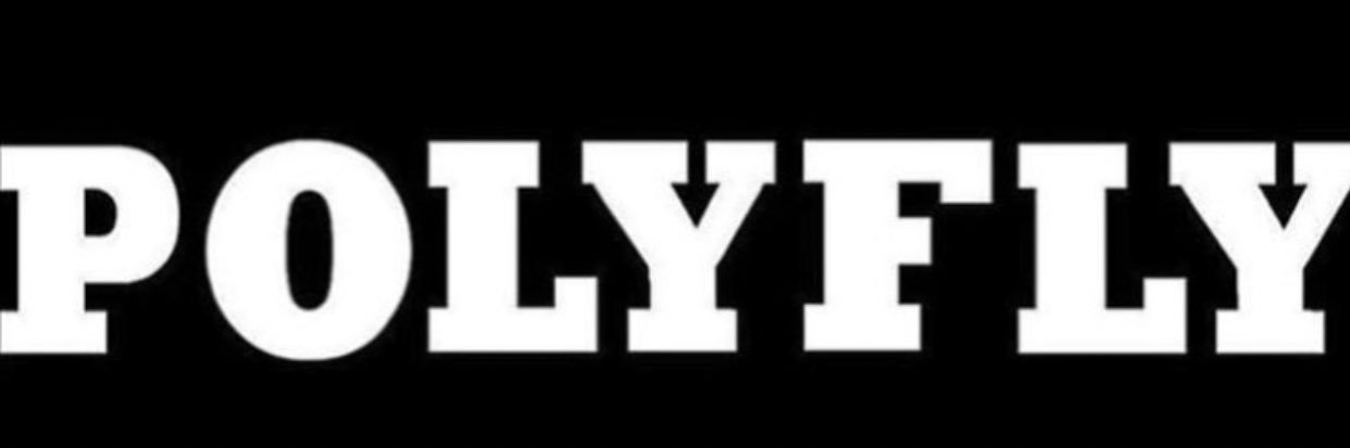 The PolyFly Experience's banner
