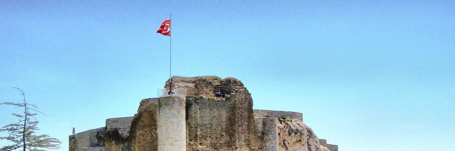 Hepsi Elazığ's banner