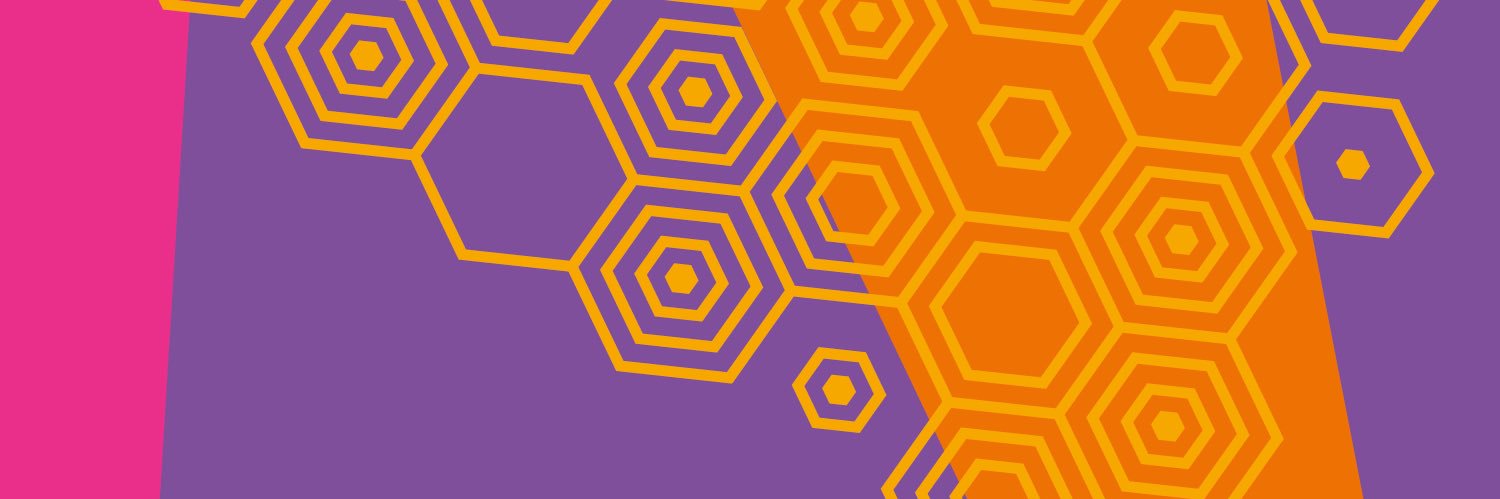 Birmingham's Official #1 Page's banner