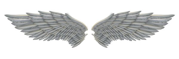 AnalAngelsXXX's banner