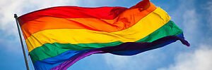 Laura Basini's banner