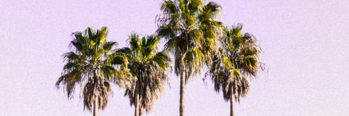 Amber Osife's banner
