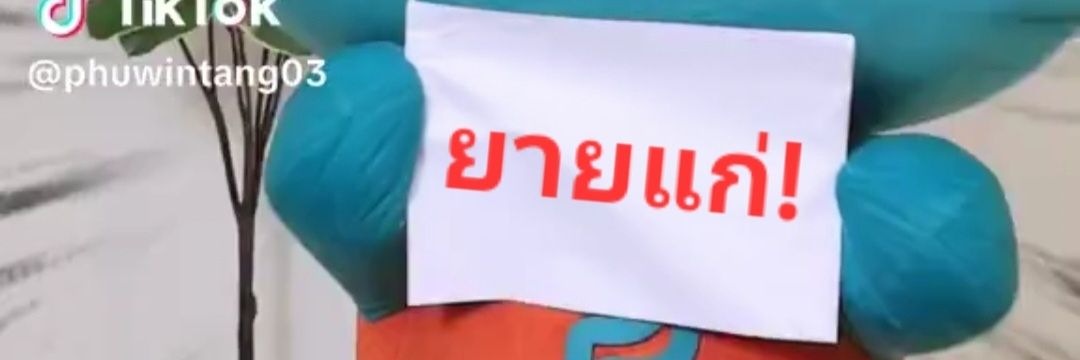 เบเบฮัลโหลเวลคัม🫜's banner