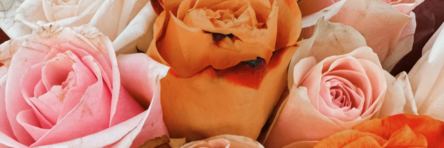 maddy's banner