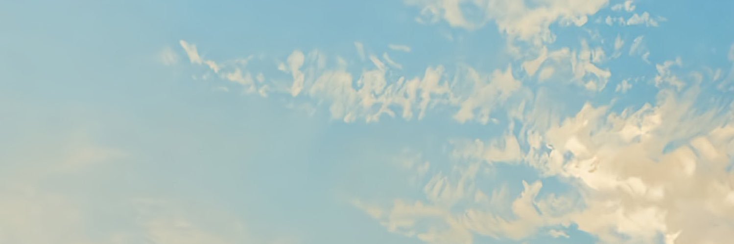 ʚɞ's banner