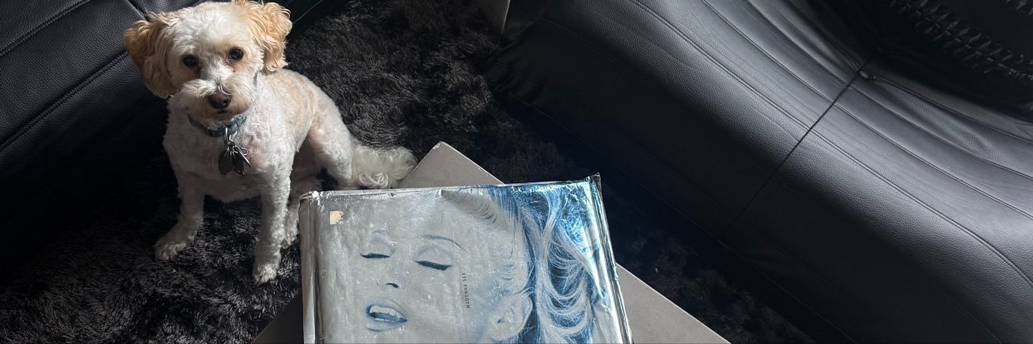 Brody's banner