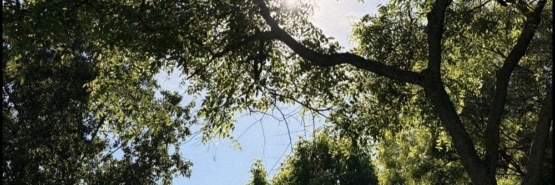 mînà's banner
