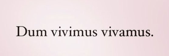 𝘦 𝘭 𝘪 𝘧 🧚🏼‍♀️'s banner
