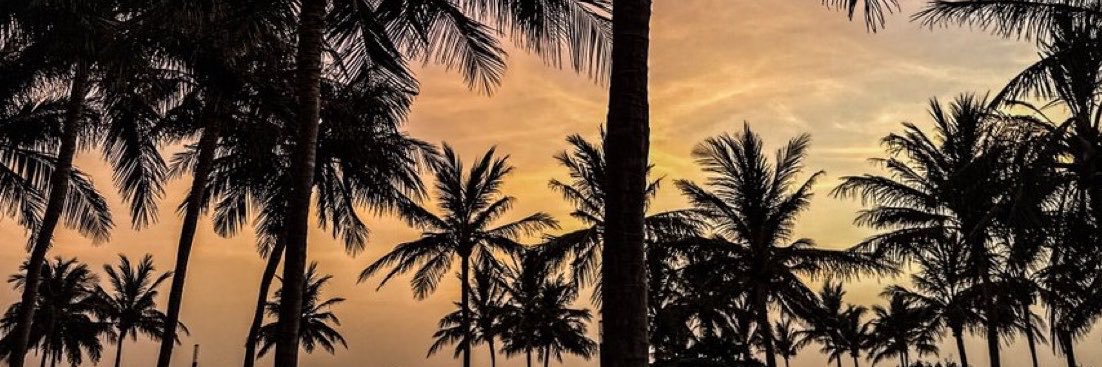 ''s banner
