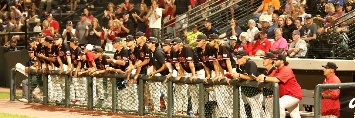 Lake Land Baseball's banner