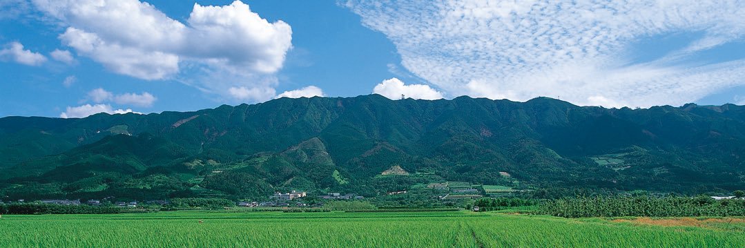 紅乙女酒造【公式】's banner