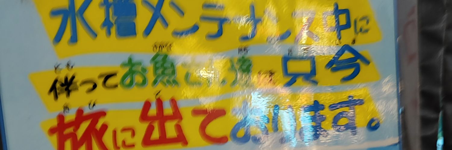しゃけ's banner