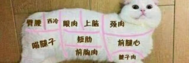 修修子's banner
