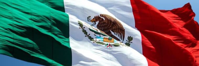 Libertario Mexicano's banner