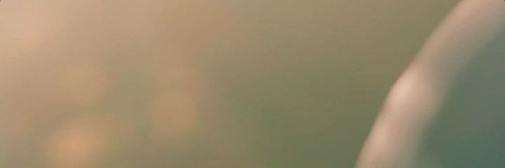 Pretinha básica's banner