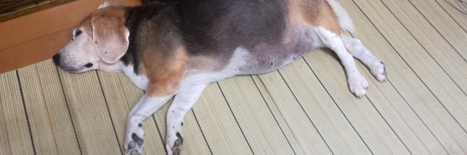 つのぜみ's banner