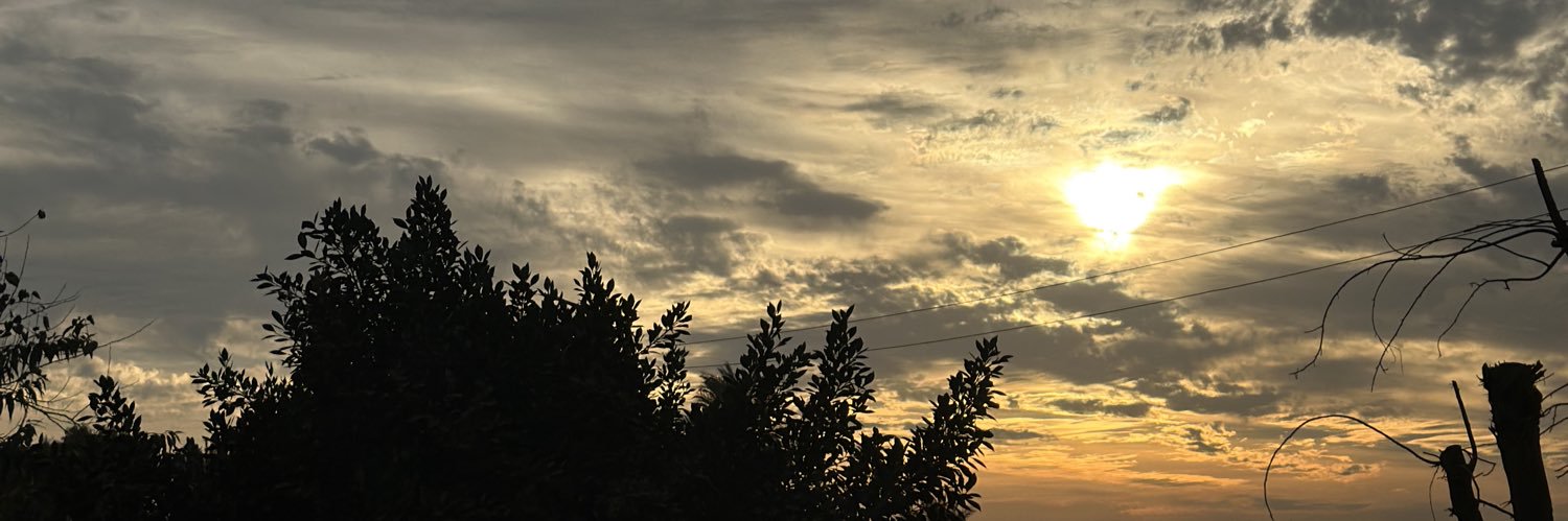 المنسي⭐️'s banner