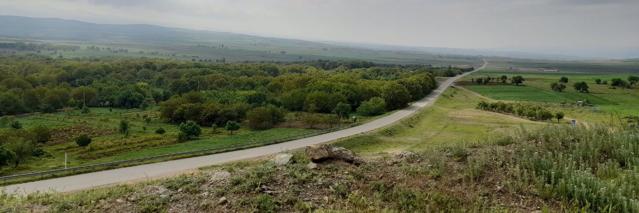 Hossein Kiani🌱حسین کیانی's banner