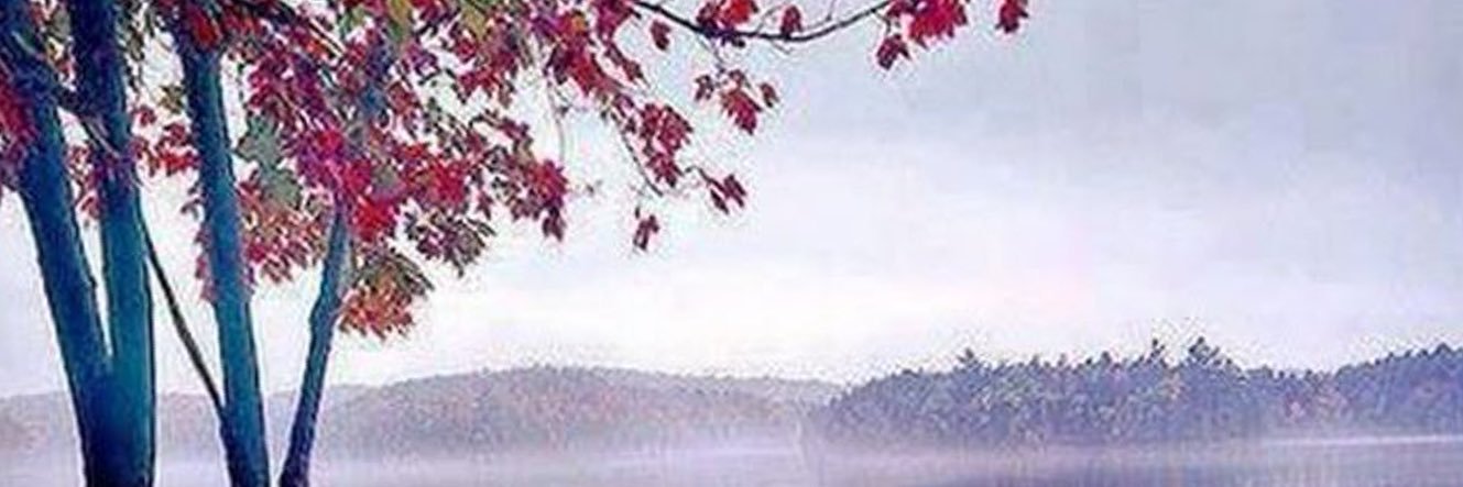 ﮼لطيفه،حمد .🕊's banner