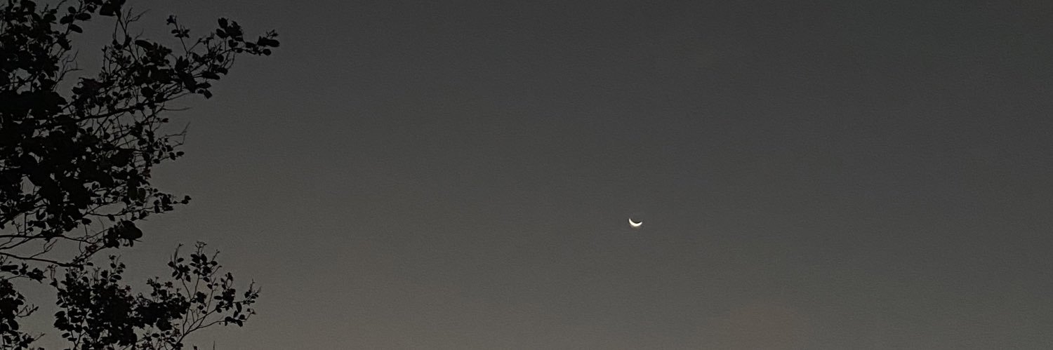 luna's banner