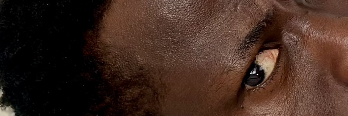 YoGo 𓃵's banner