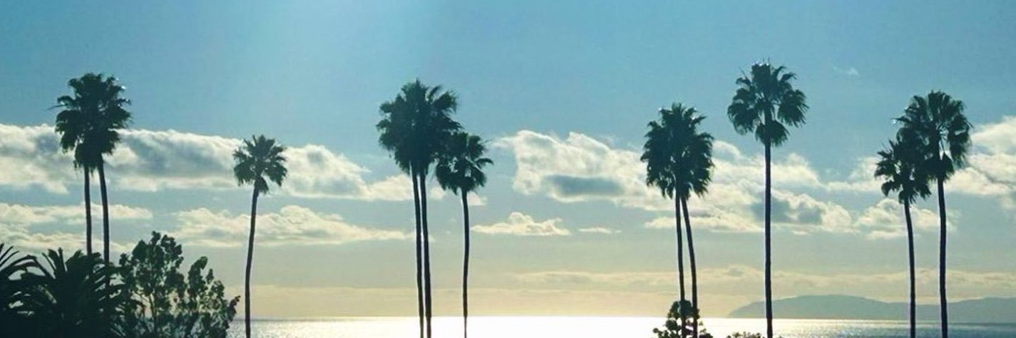 alveena 🏳️‍⚧️'s banner
