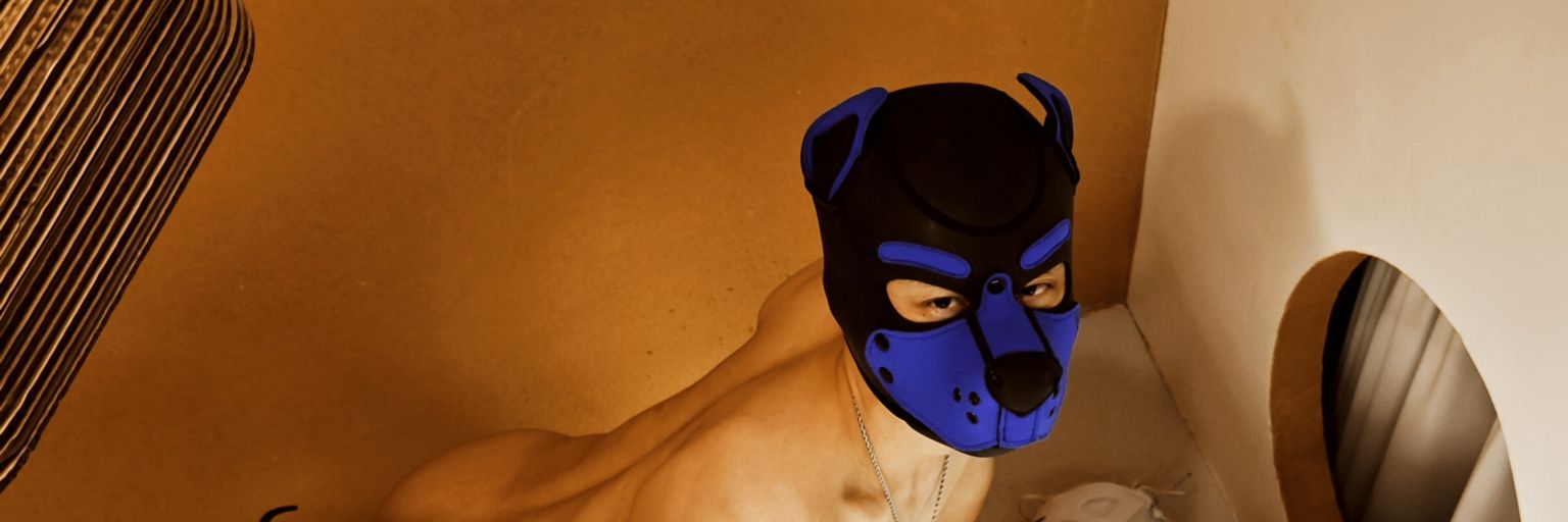 冬雨（我是浩子的笨蛋狗狗）'s banner