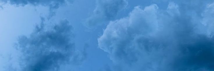 landen's banner