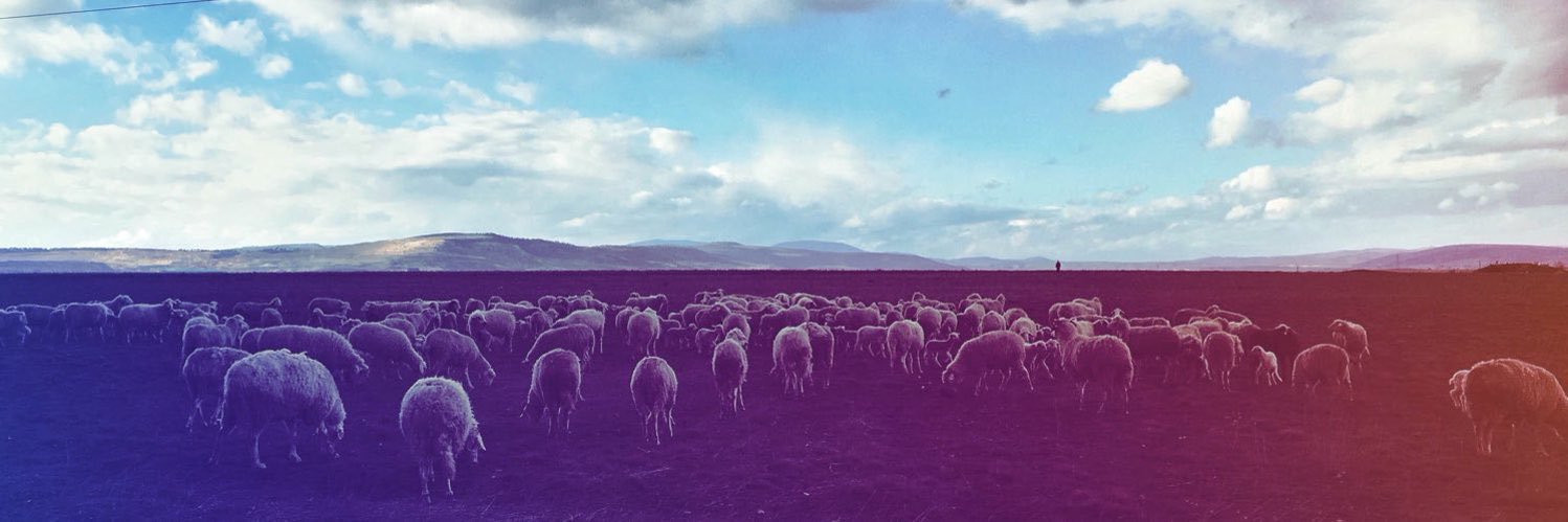 ÇK ✨'s banner