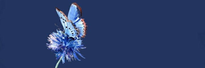 claudia ⛈'s banner