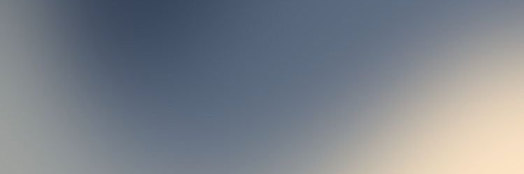 rei's banner