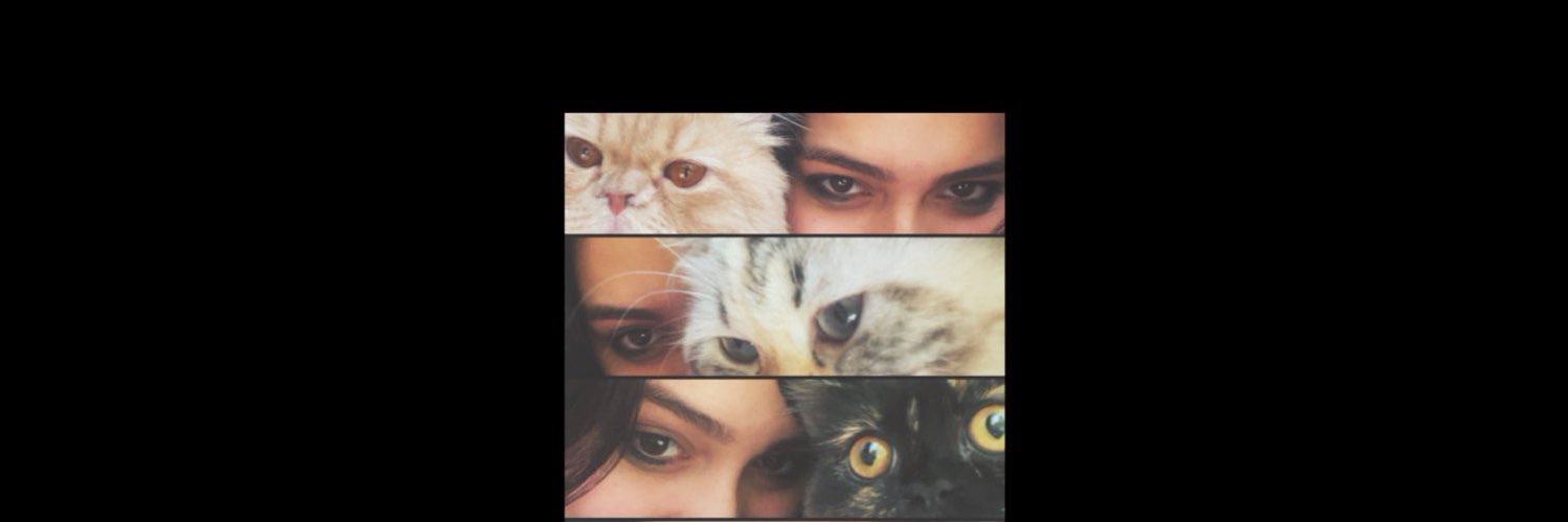 yumna jamal's banner
