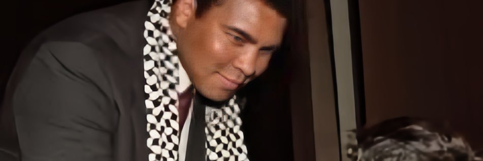 Leyla Hamed's banner