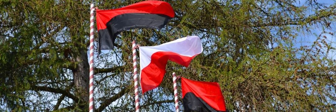 كلاب بوتين 🇵🇱 🇺🇦 🇵🇸's banner