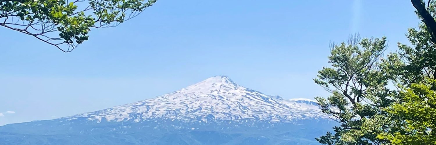 コトネ東北's banner