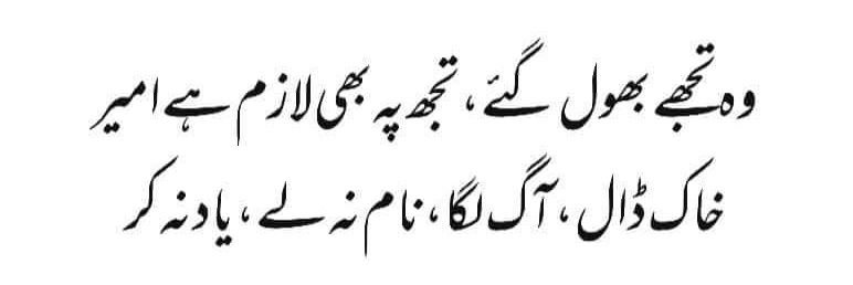 🇵🇰🇵🇰Falak Sher🇵🇰🇵🇰's banner