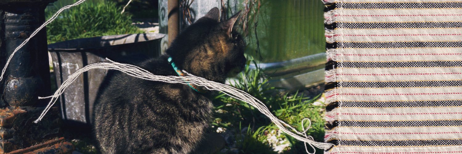 $YRO ✵'s banner