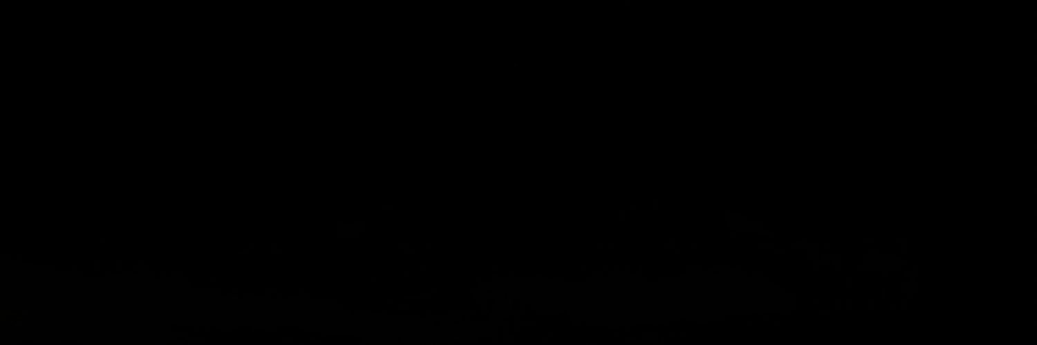 🦂's banner